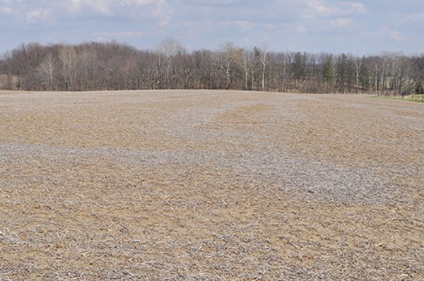 INDIANA LAND AUCTION, 126+/- Acres offered in 1 Tract